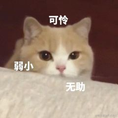 SloanLv于2021-04-09 13:40发布的图片