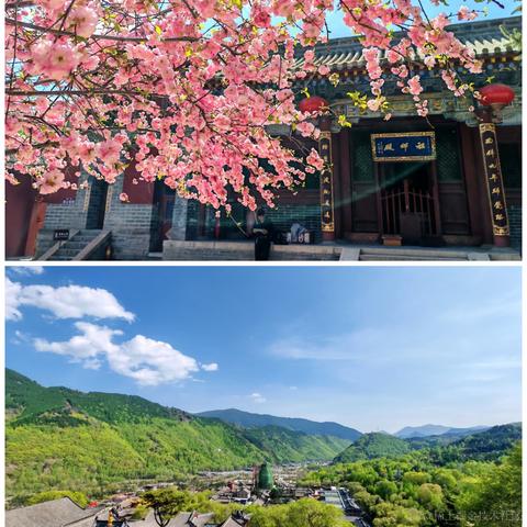 Sarah_于2024-05-24 18:33发布的图片
