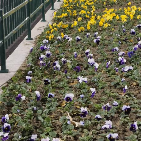 abcandy于2022-12-20 09:56发布的图片