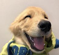 不会敲代码的前端的个人资料头像