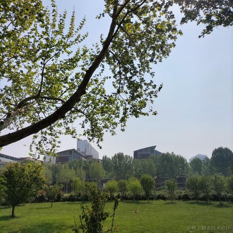 是小高同学呀于2023-04-26 09:24发布的图片