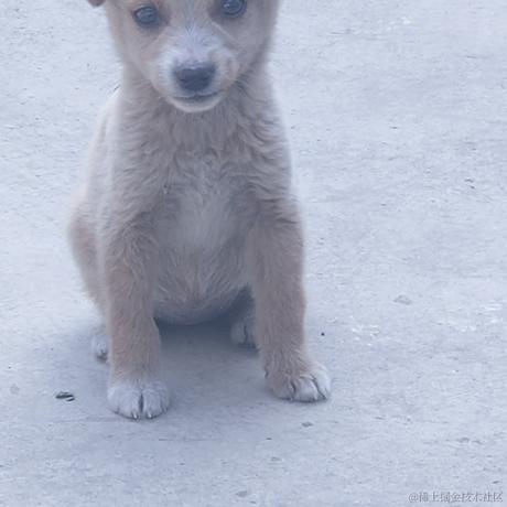 音速小向晚于2022-11-21 01:31发布的图片