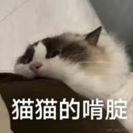 小天才617于2023-04-10 08:34发布的图片