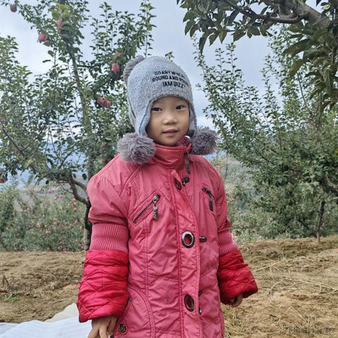 刘一哥GIS于2023-10-05 10:26发布的图片