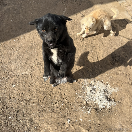 掘金青铜于2023-01-26 13:04发布的图片