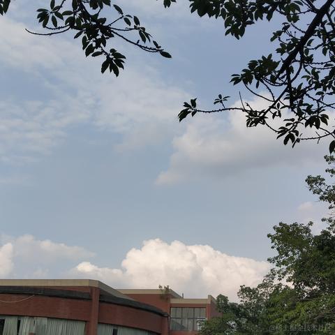 我是修沟的修狗于2022-08-13 18:33发布的图片