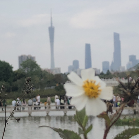 尚影嫣于2023-03-13 20:11发布的图片
