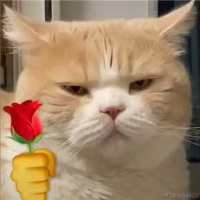 婉婉啊于2022-02-16 10:36发布的图片