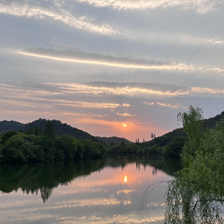 留心点银于2023-05-10 21:43发布的图片