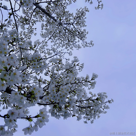 快乐的海绵宝宝于2023-03-20 13:12发布的图片