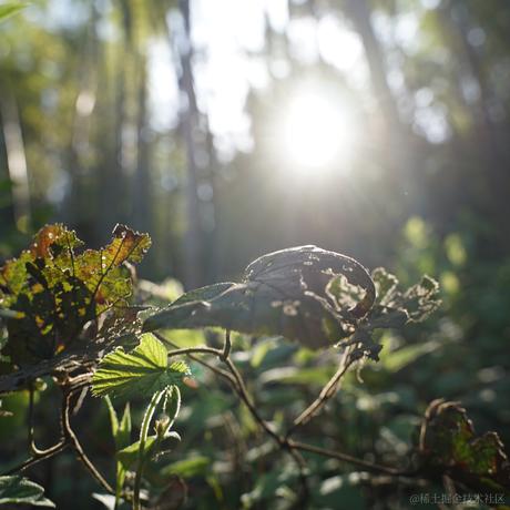 areyouoksuperfast于2023-05-06 17:06发布的图片