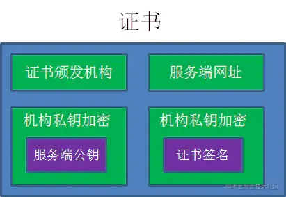 证书内容.webp