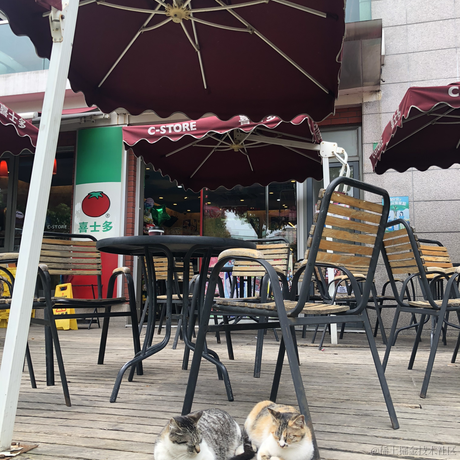 小南瓜耶于2021-08-27 12:51发布的图片