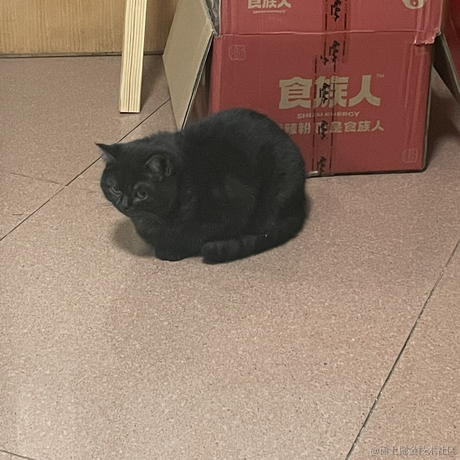 heronCCC于2023-05-30 08:43发布的图片