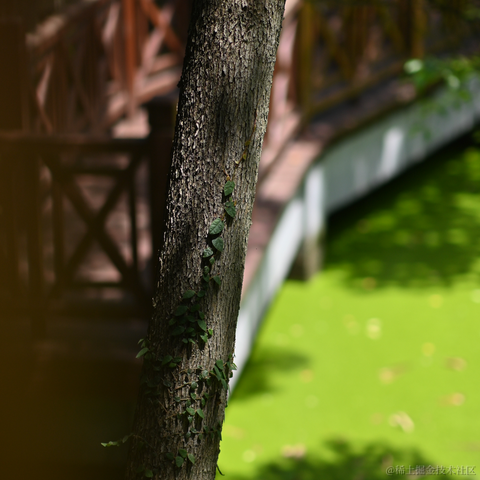 半夏1024于2023-05-09 09:39发布的图片