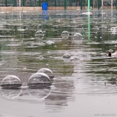 日月昭昭于2023-04-23 14:53发布的图片