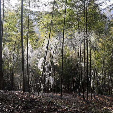 卑微打工仔在线陪聊于2023-01-25 13:47发布的图片