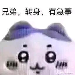 则则于2023-11-14 09:53发布的图片