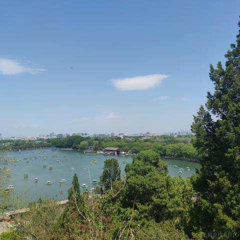 拧巴鼻于2023-05-01 22:06发布的图片