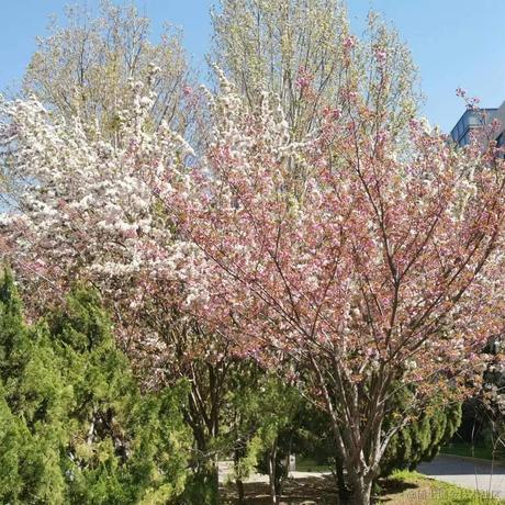 明天825于2023-04-14 22:01发布的图片