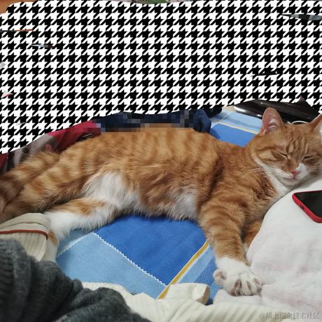 柒弎于2022-12-05 19:32发布的图片