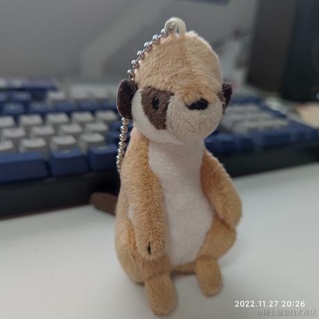 几时时于2022-11-27 20:26发布的图片