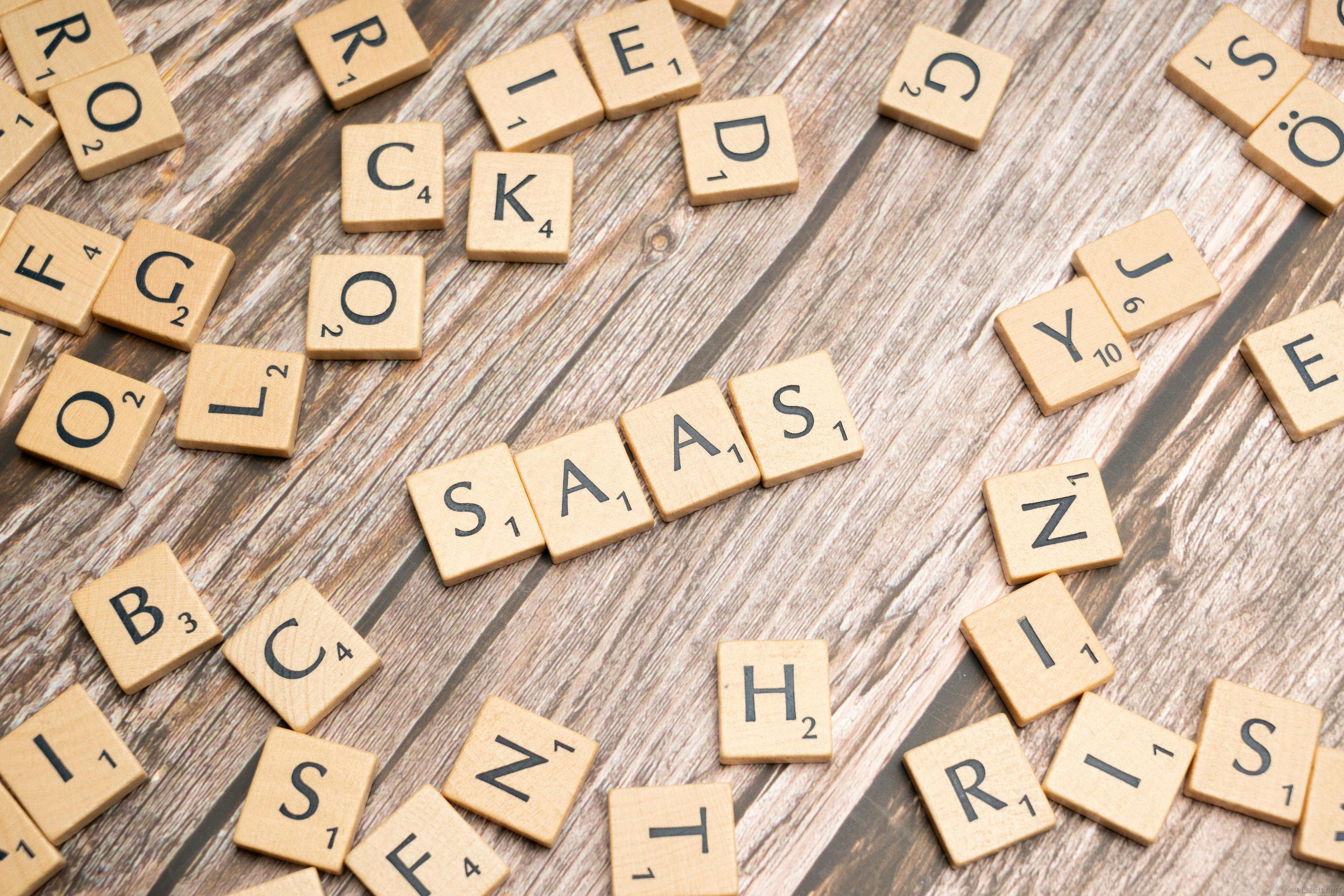 微型SaaS