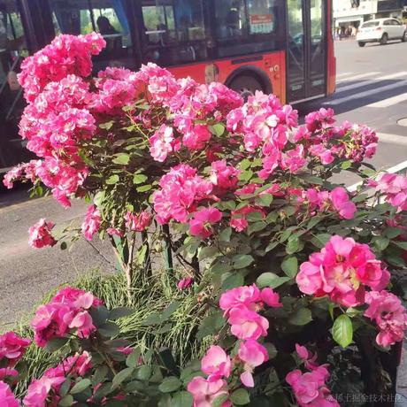 GTR炫丨主力战队于2021-04-30 10:03发布的图片