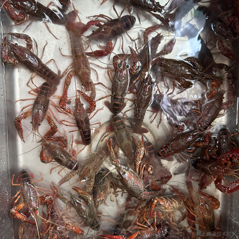 优秀员工不受影响于2024-05-20 11:08发布的图片