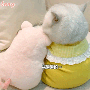 婉婉啊于2022-03-01 09:05发布的图片