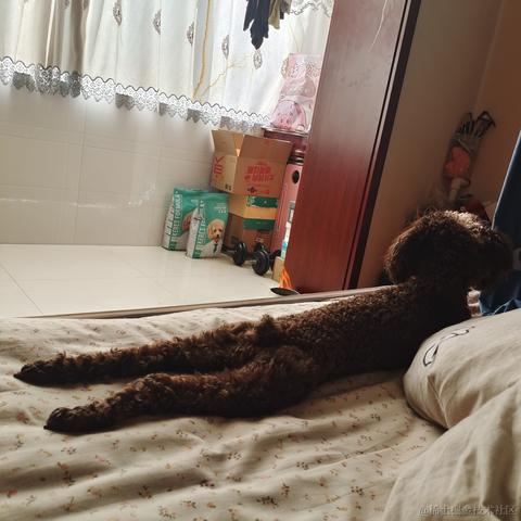 用户3793于2023-02-20 00:13发布的图片