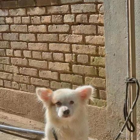 Polaris193于2022-11-28 09:39发布的图片