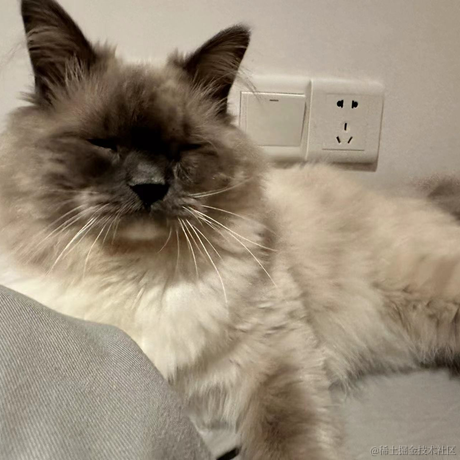 打你的修狗于2023-04-11 11:26发布的图片