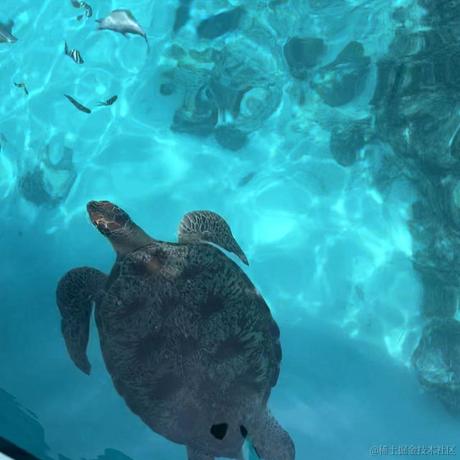 知识搅拌机于2023-05-18 11:49发布的图片