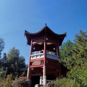 ChenYIFAN的个人资料头像