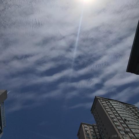 枝江小区第一寒冰于2023-07-09 11:48发布的图片