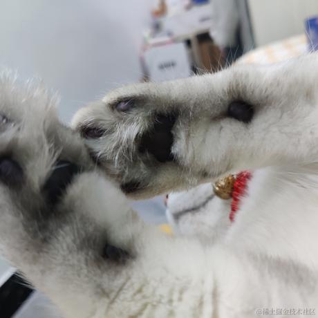 叨叨呀于2022-04-20 08:39发布的图片