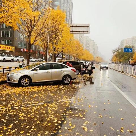 OneDay1S于2020-11-19 15:21发布的图片