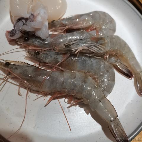 派小星_于2023-02-09 19:38发布的图片