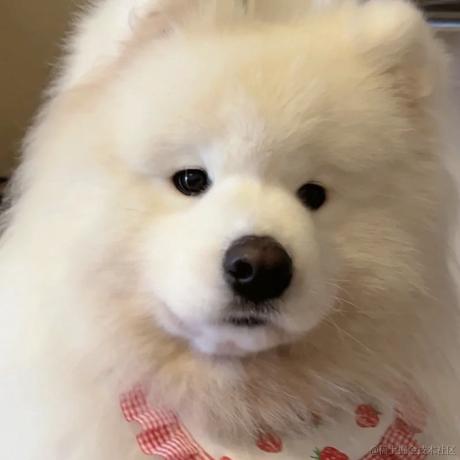 绝望鸭脖于2023-04-21 23:19发布的图片