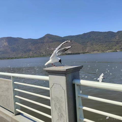 爱球球于2023-12-21 16:44发布的图片