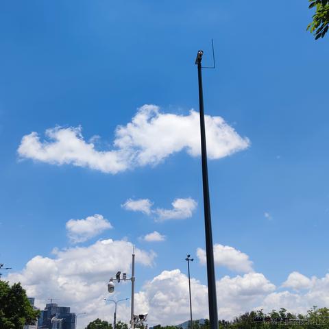 934于2021-05-19 13:29发布的图片