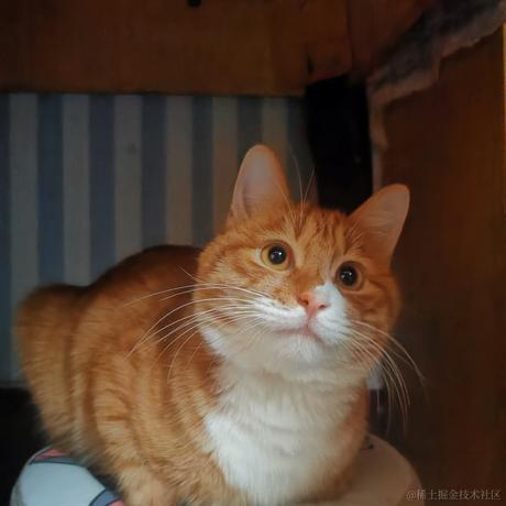 柒弎于2022-12-10 15:42发布的图片