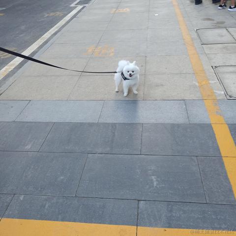 月亮小饼干于2021-08-02 22:13发布的图片