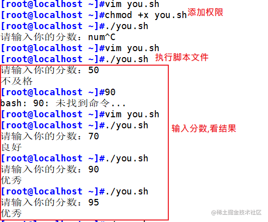 Shell编程之条件语句 掘金
