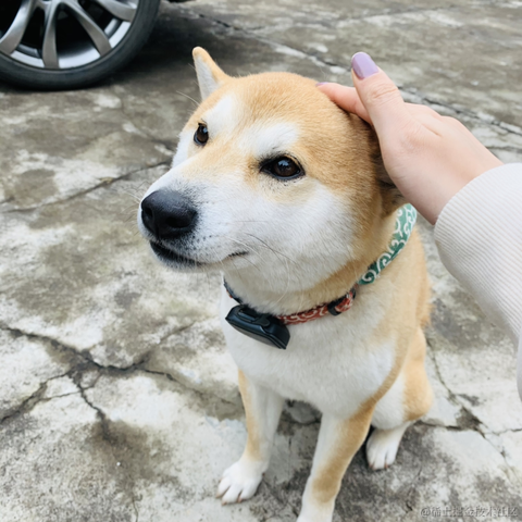 清汤饺子于2021-06-21 10:05发布的图片