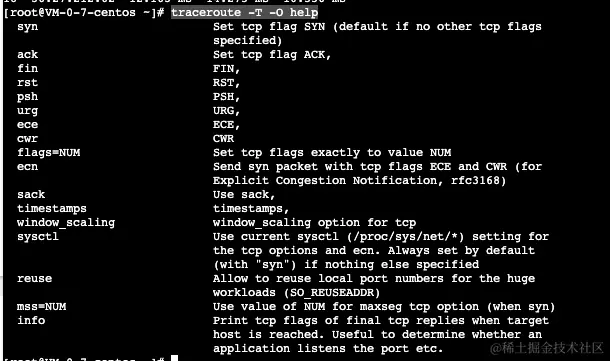 traceroute-tcp-option.png