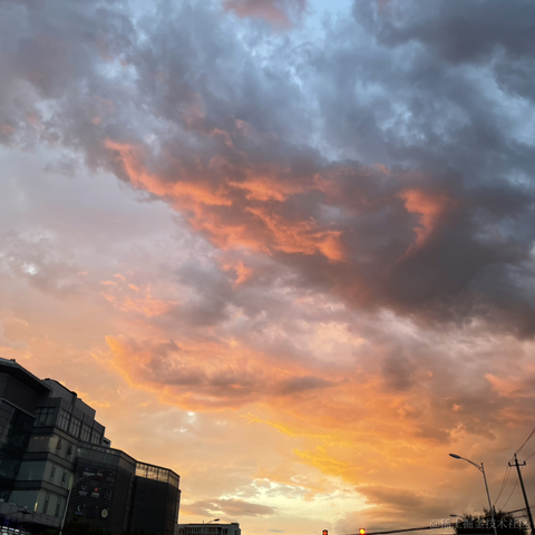 七苡翁于2022-08-30 22:56发布的图片