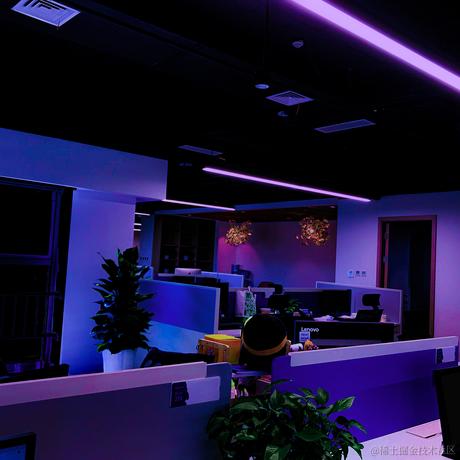 一只小蝙蝠于2020-09-15 15:00发布的图片