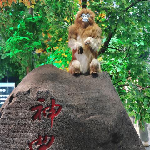 劫持流星计划于2023-04-22 23:06发布的图片